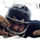 Image for article titled Butkus: One Season And One Injury With The Meanest Man Alive